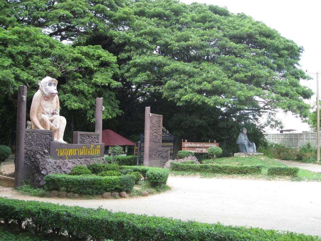 Kosamphi forest parc by videomaster