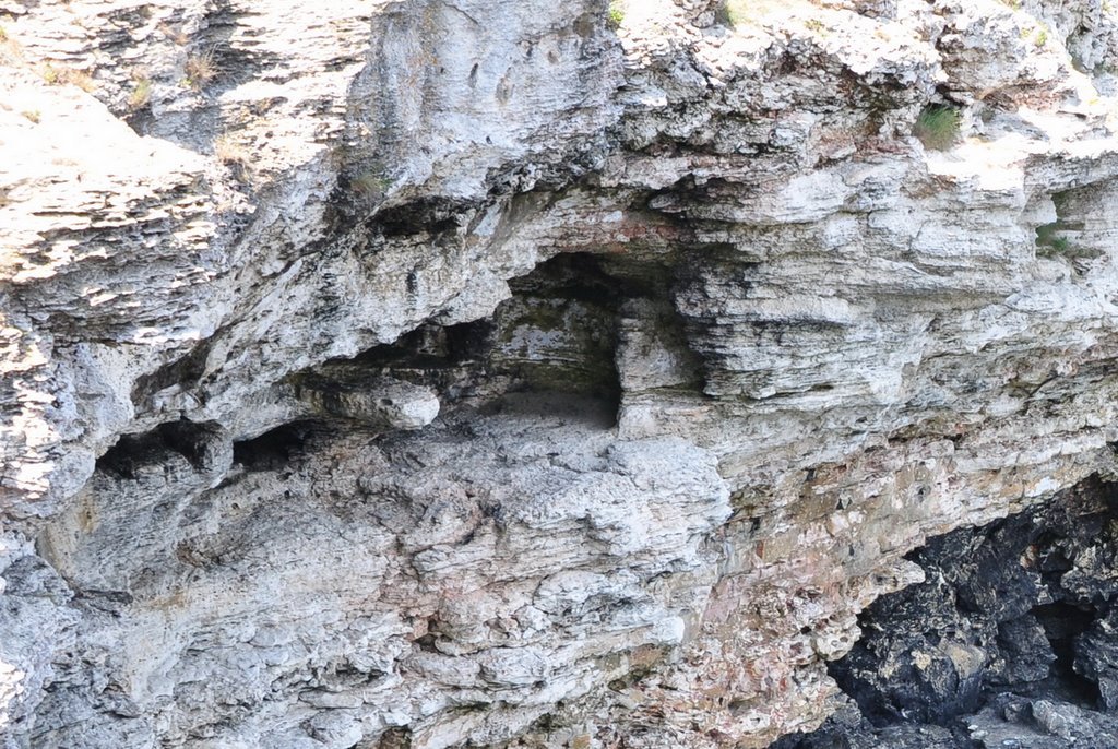 Скалите около Тюленово, Caves near to Tulenovo by Илиян Киряков