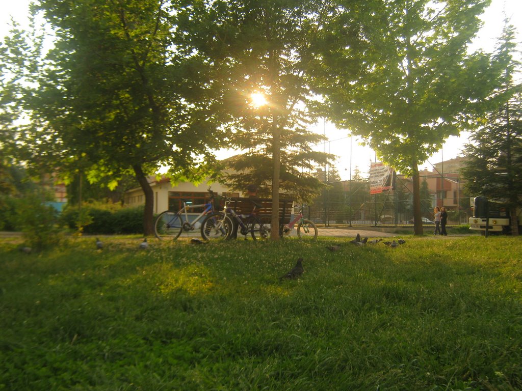 GREEN GRASS AND SUNSET by Recep Başkan