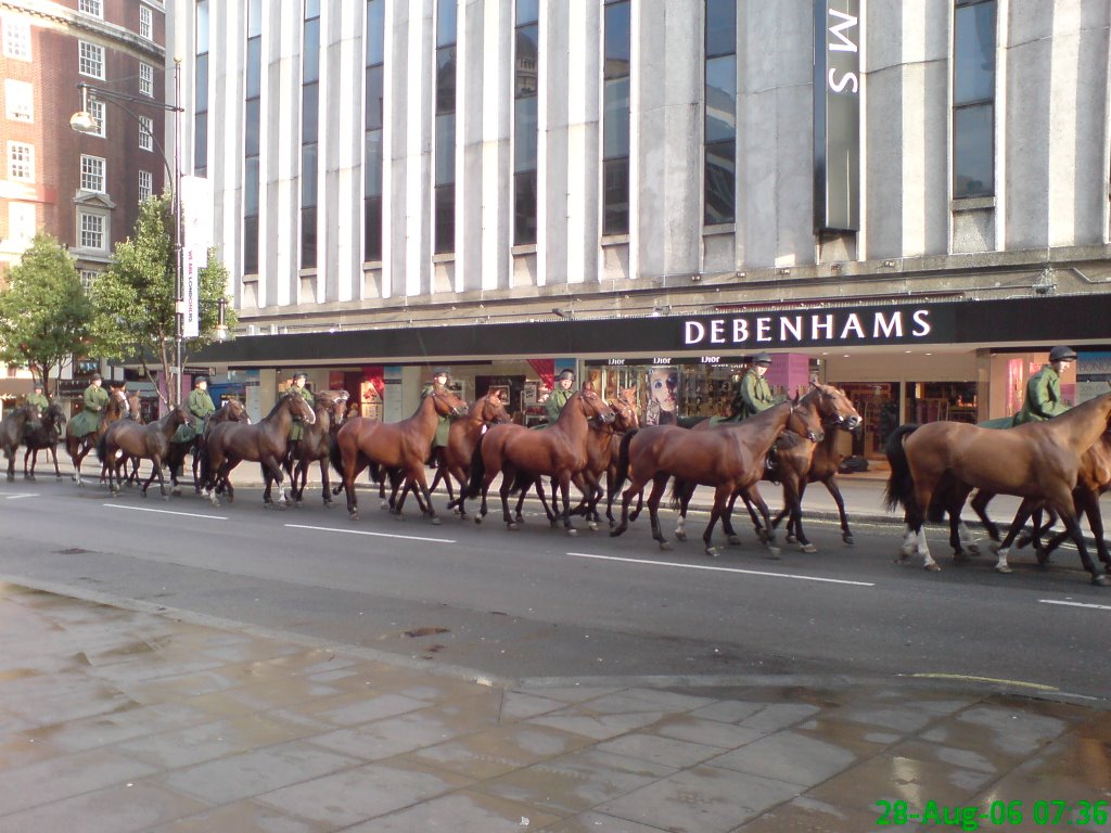 Horses on Oxford st. :) by M Kolcik