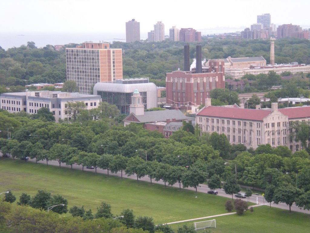 SE view over Midway from Rockefeler Chapel by Leskra