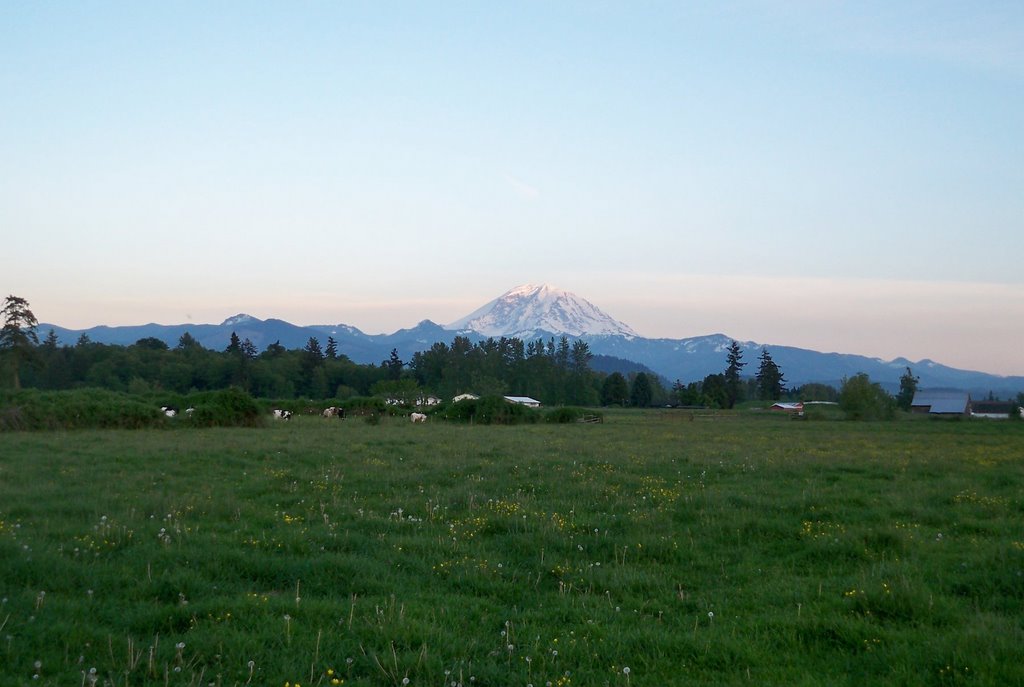 Washinton Meadow by ricraider