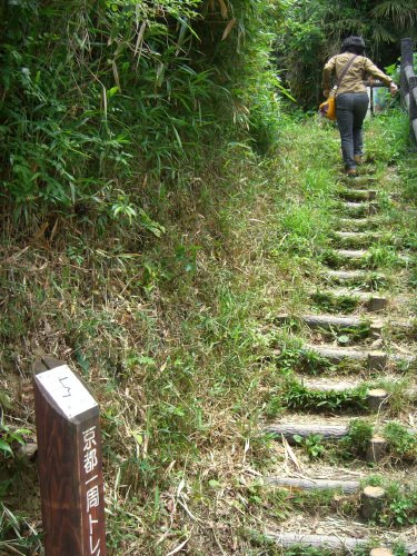 Trail around the Kyoto by sonotune