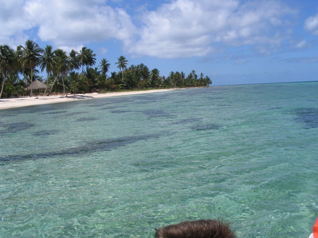 Isla Saona by lifeguard74