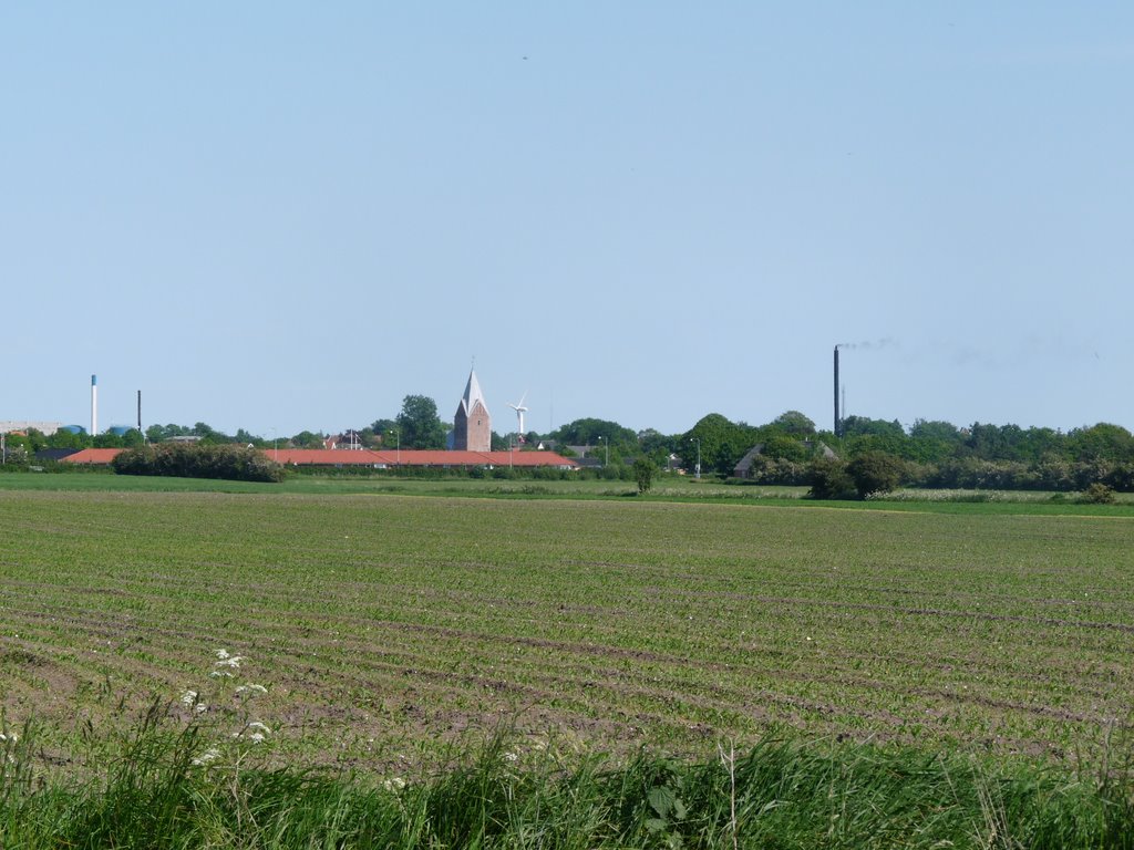 Skærbæk - set fra Astrupvej by Irmgard Lorenzen