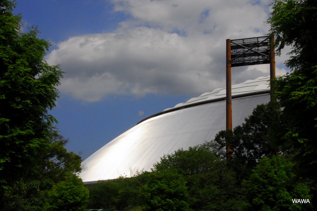 Seibu Dome （西武球場ドーム外観） by mandegan