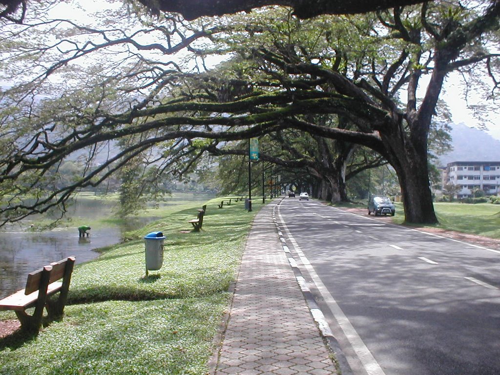 Taman tasik taiping by ahmadnazman