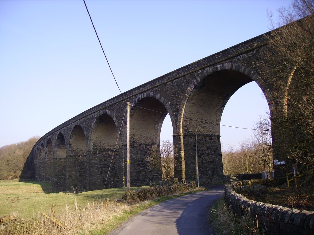 Harwood arches by alanjones