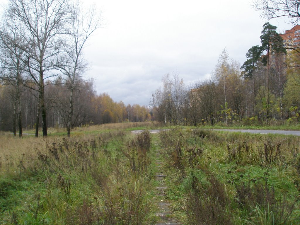 Пушкинский район, Московская область by Mazgayob