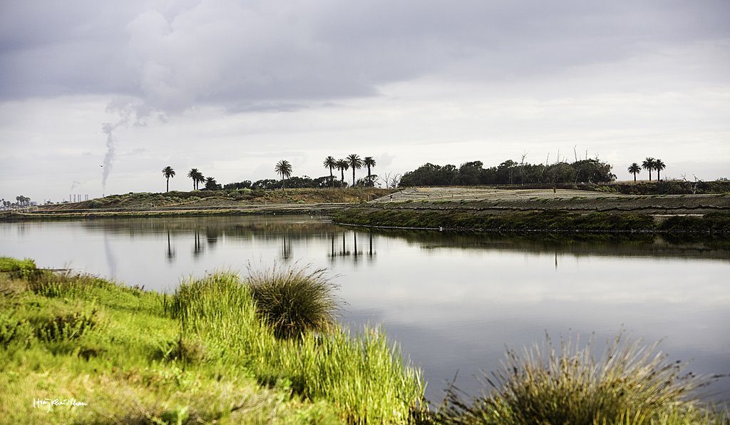 Bolsa Chica Ecological Reserve (hknphotography.blogspot.com) by Hoàng Khai Nhan