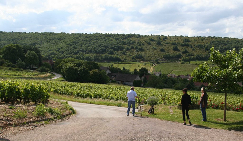 BOUZERON Promenade by G.Rosette