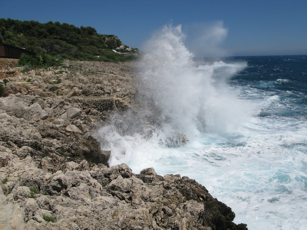 Cap Ferrat by Dominique Perrin