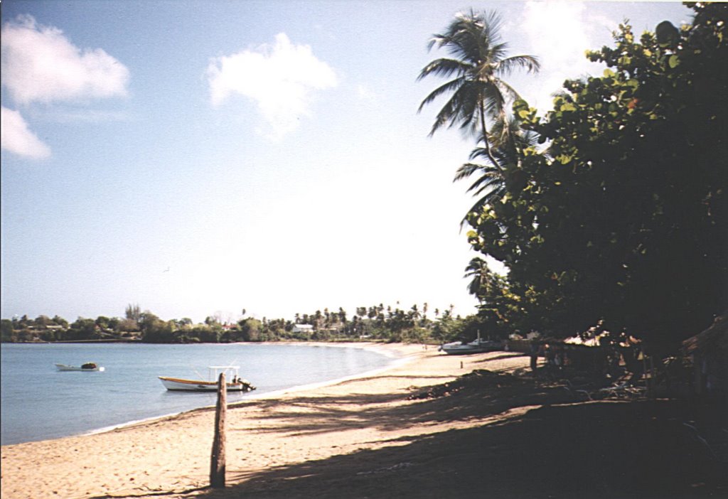 Tobago Courland Bay by Dirk Altmann