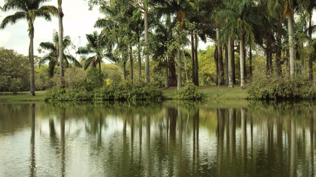 São José dos Campos, SP, Brazil by Isi Hennka