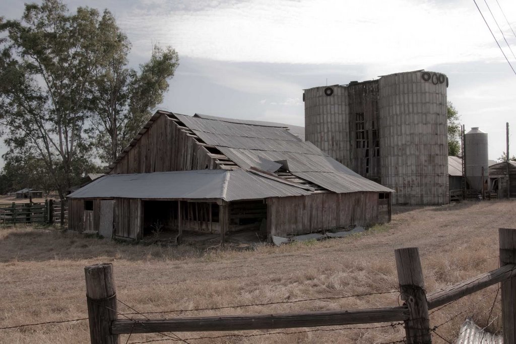 Old Barn off of Hwy 104 by Nancy Hayes