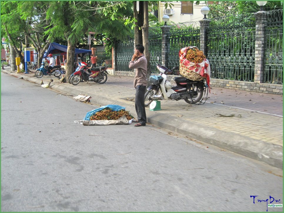 Đường Văn Cao (Em ơi hái tiếp xuống đi, sắp hết hàng rồi) by Earth_Walker