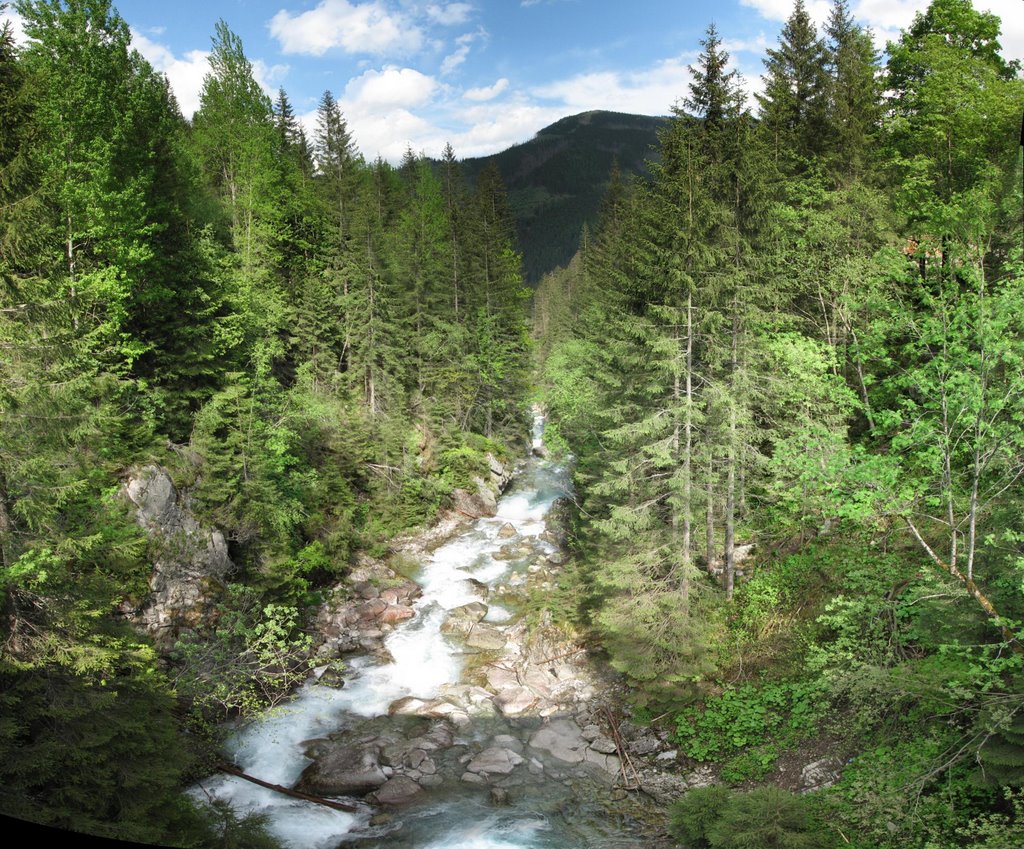 Roztoka Stream at Middle Waterfall by mat1ss