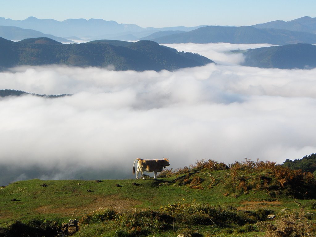 SOBRE LA NIEBLA by Willy Casero