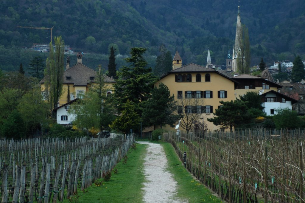 39052 Kaltern an der Weinstraße, Province of Bolzano - South Tyrol, Italy by Frief