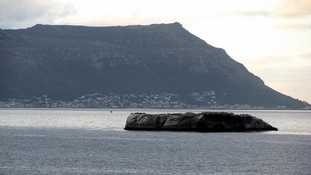 Kalk Bay taken from Boulders Beach by J Roskilly