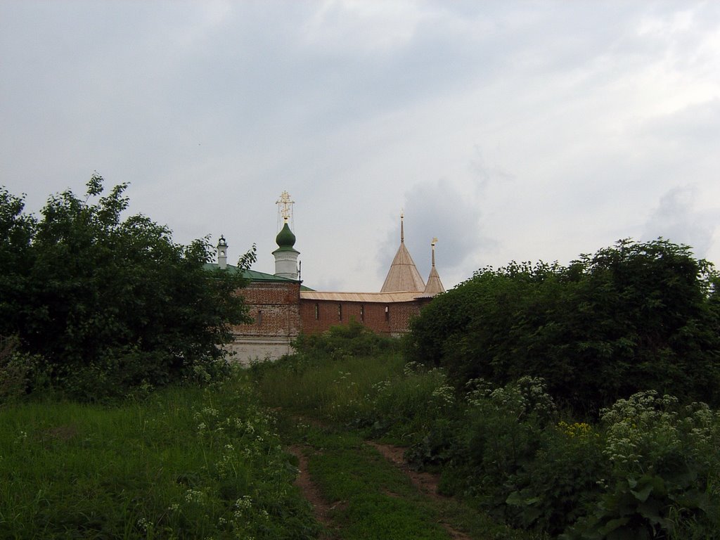 Nizhegorodskiy rayon, Nizhnij Novgorod, Nizhegorodskaya oblast', Russia by А. Н. Д.