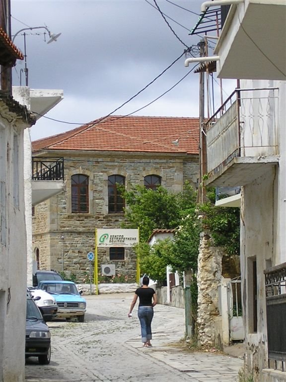 View of the old school - Ormylia by kostas_dinas