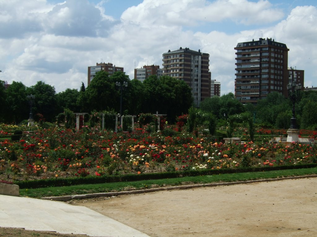 La Rosaleda-Valladolid by TereLl