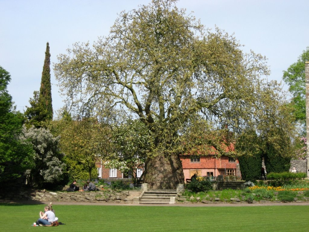 Westgate garden, Canterbury, Kent by Jean Marc Gfp