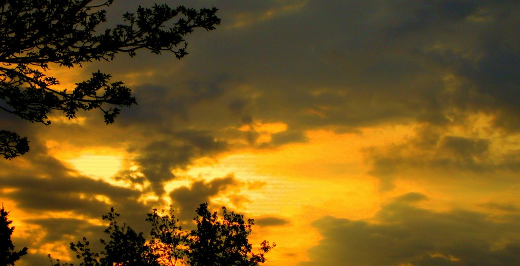 A Splendid, Superb, Serene, Super, Searing Summer Sunset Sky of Gold in West Edmonton, AB by David Cure-Hryciuk