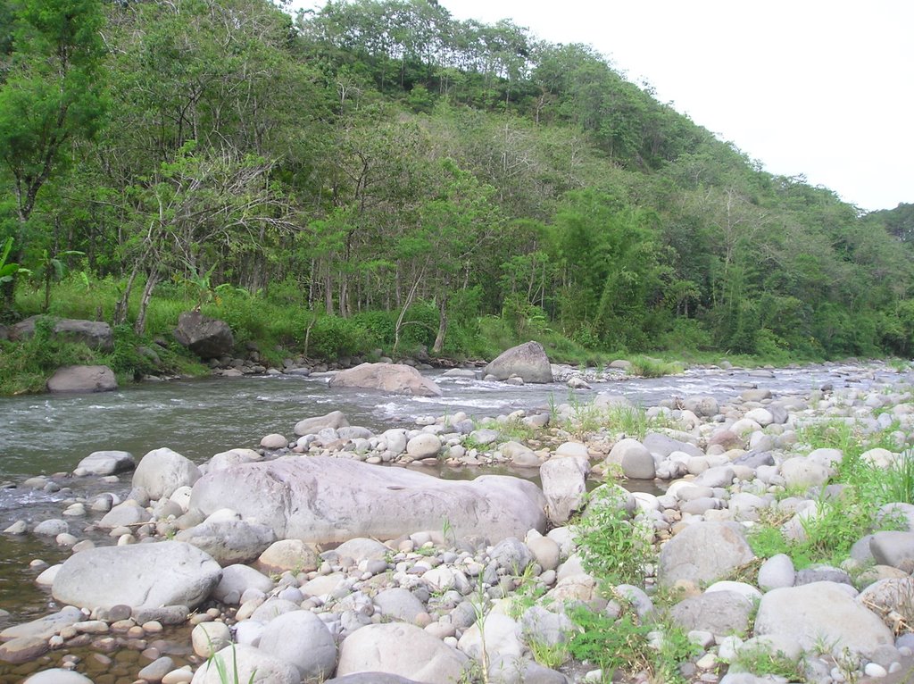 Manupali River by qzx