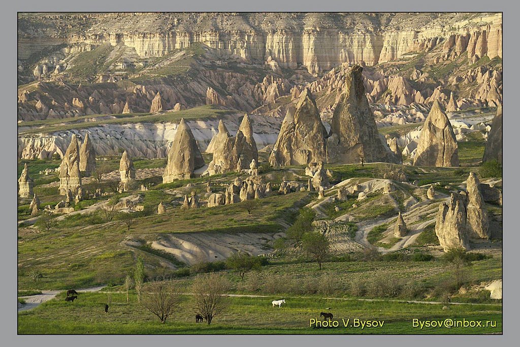 50180 Göreme/Nevşehir Merkez/Nevşehir, Turkey by Vladymyr Bysov