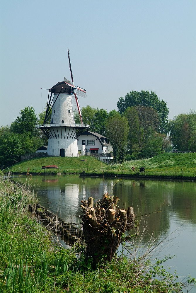 Molen in Marienwaerd. by Marjon van der Vegte