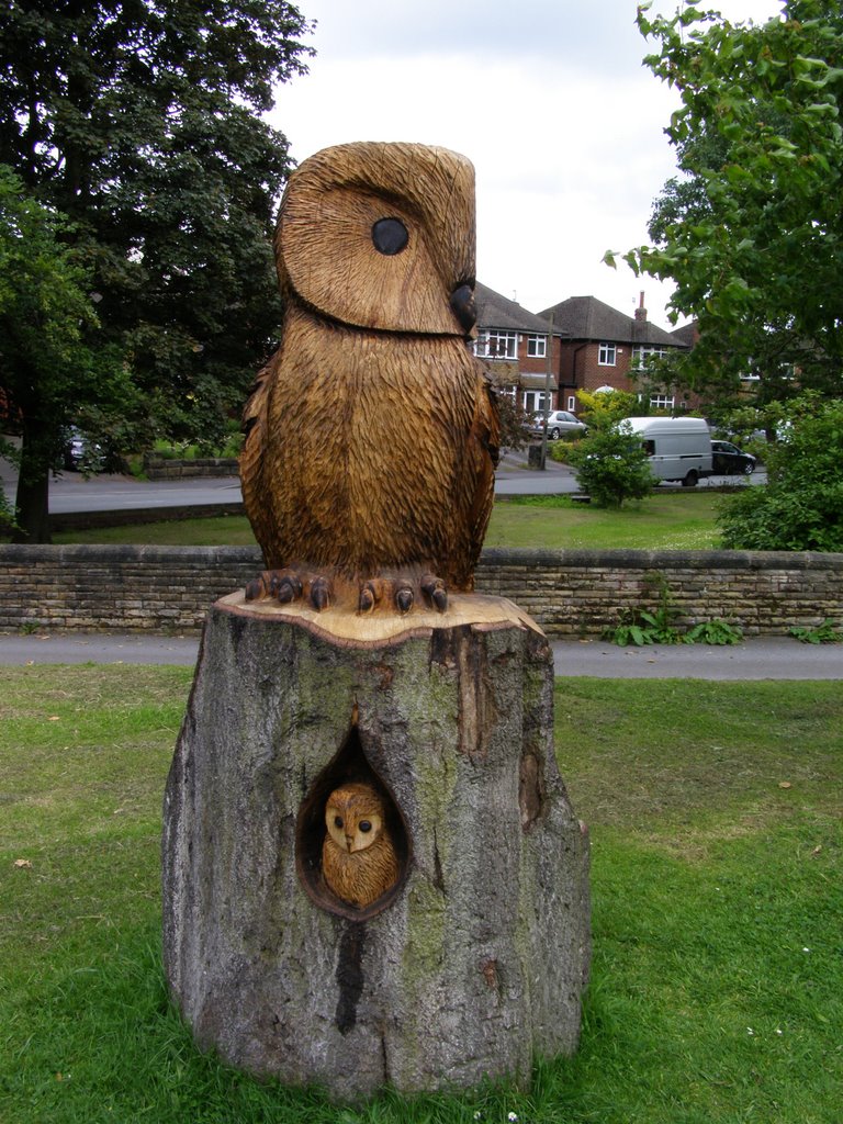 Owl outside the Larkhill Centre by timpman