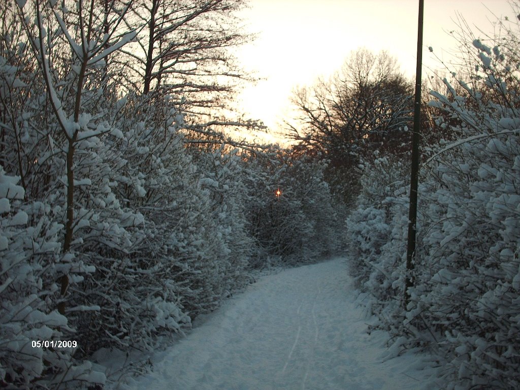 H©) Januar 2009 / Wulfen-Barkenberg im Winter / 12 by Hannes Th.