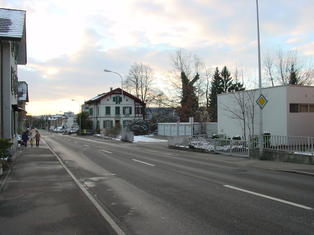 Zofingen - Strengelbacherstrasse by greenplanet