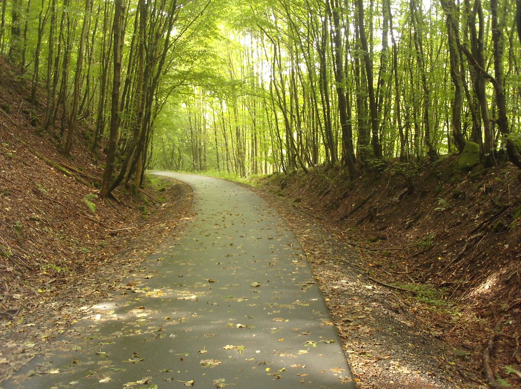 Radweg im Vogelsberg im August 2005 by 4537nms