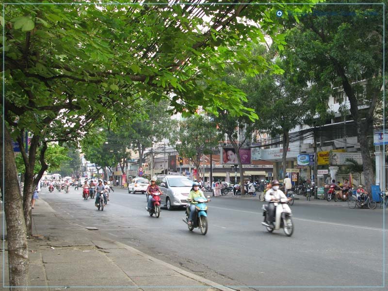 Đường - Cách Mạng Tháng 8 - Street by Vietnam - Paracels