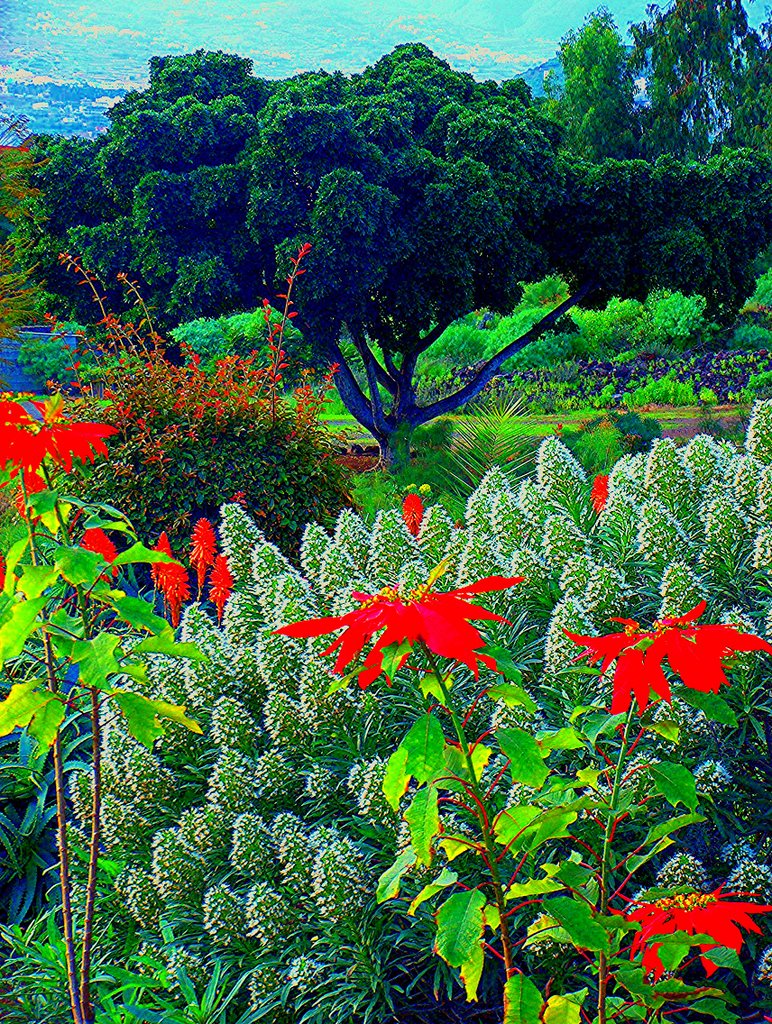 Flora at Taoro Parc by rainergeraldwagner