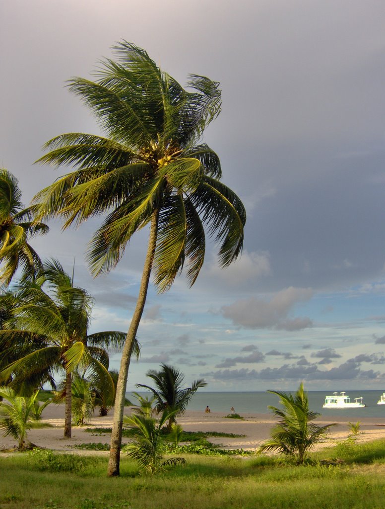 Praia Tambaù, Joao Pessoa by Michele Mariani