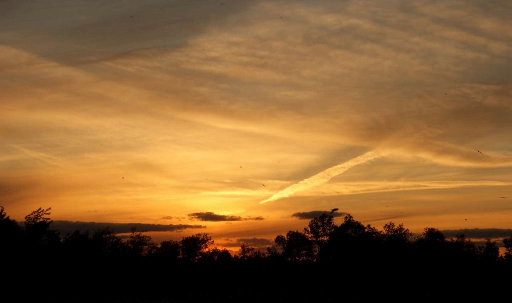 Evening Sky by Kittredge