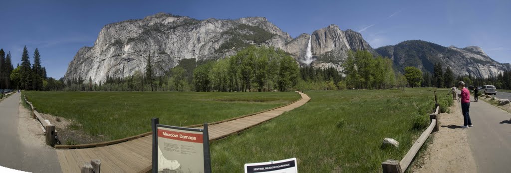 Sentinel Meadow in Spring 2009 by Harold Johnson