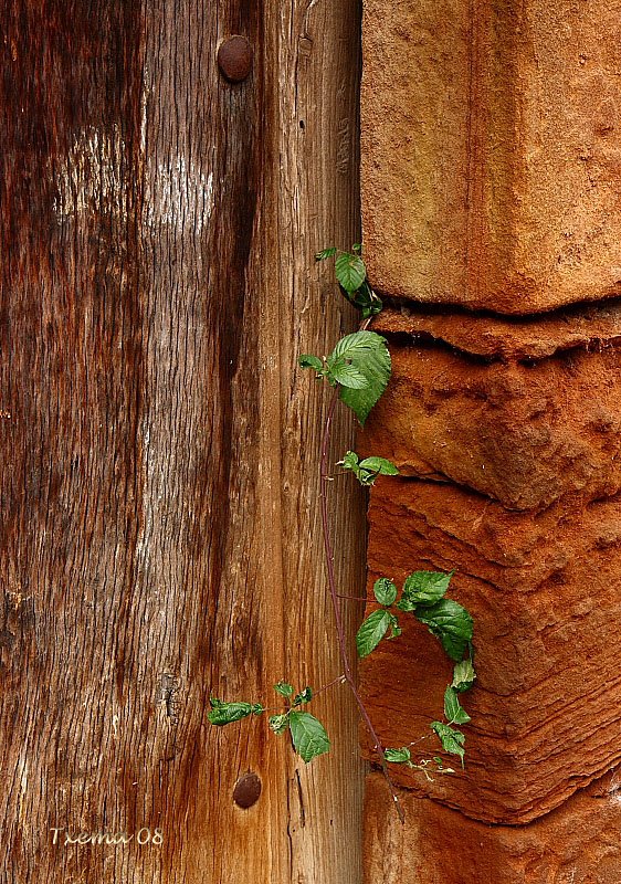 Detalle en Ezcaray by Txema Bacaicoa