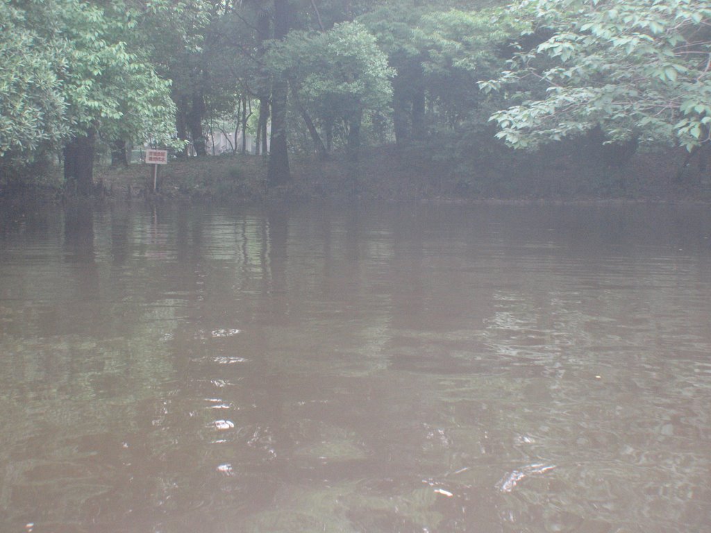 中山公园-池塘 Zhongshan Park - pond by 竹金