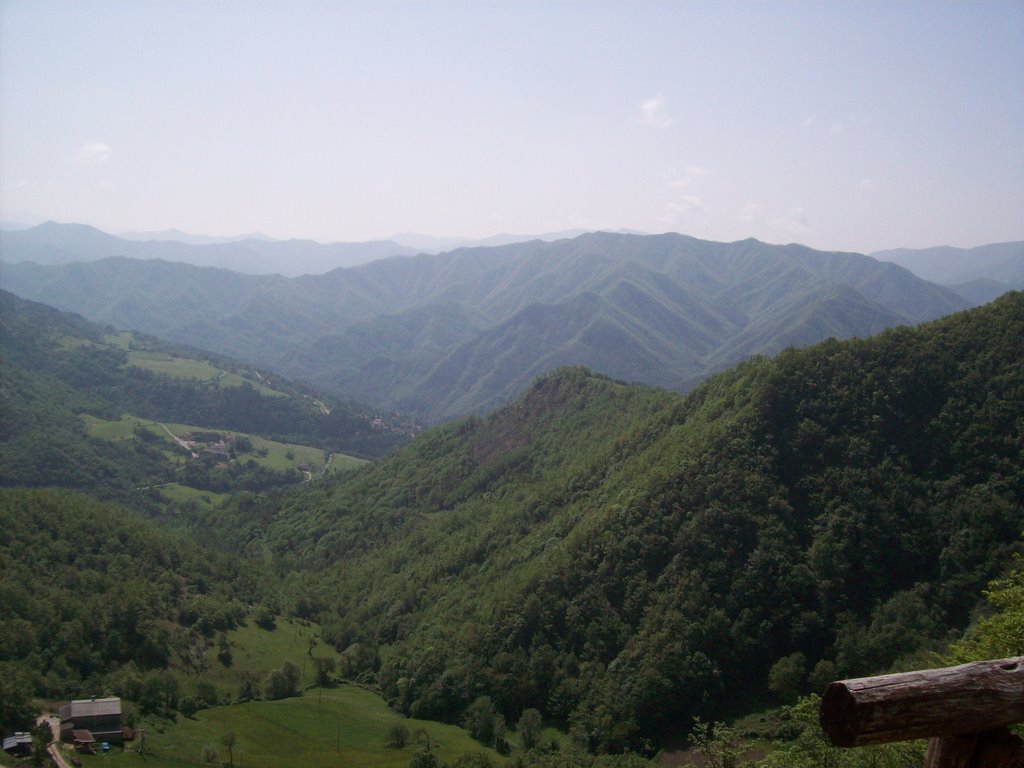 Parco delle Foreste Casentinesi - Panorama - Foto 01 by fabiopruccoli