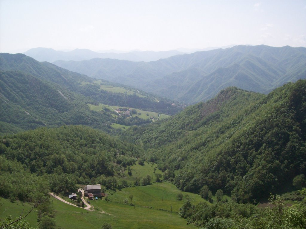 Parco delle Foreste Casentinesi - Panorama - Foto 02 by fabiopruccoli