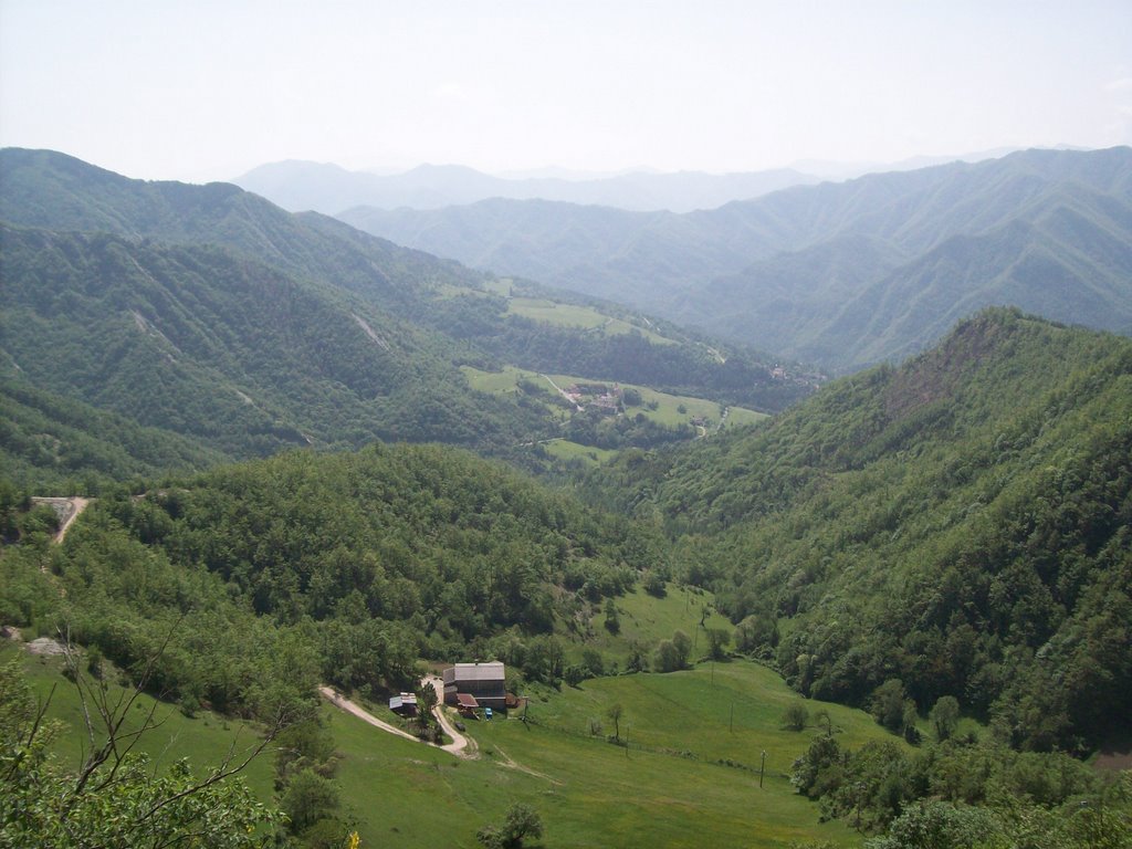 Parco delle Foreste Casentinesi - Panorama - Foto 03 by fabiopruccoli