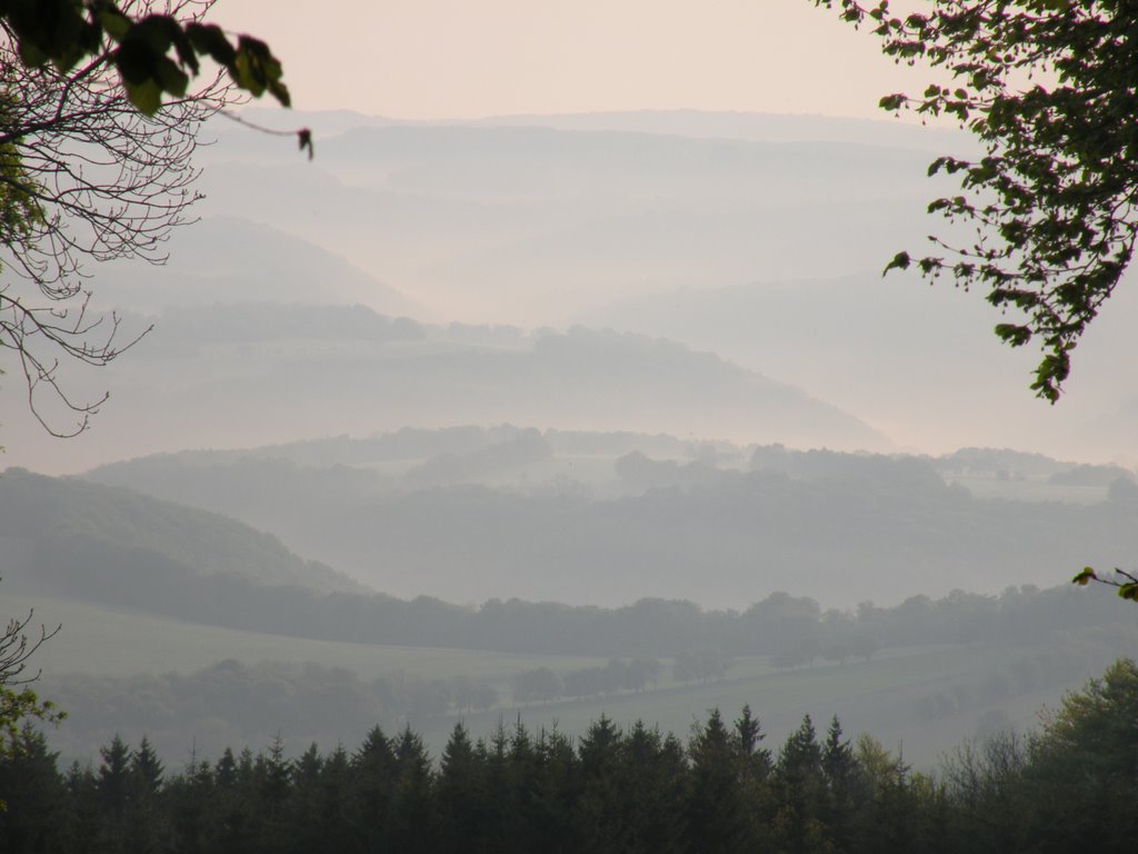 Brume matinale (au nord de Chamesol) by misterioustraveller