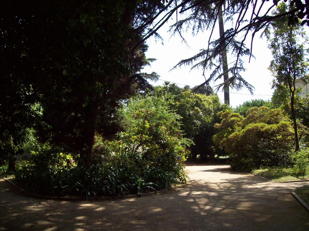 Jardim Botânico - Porto by lurdes pires