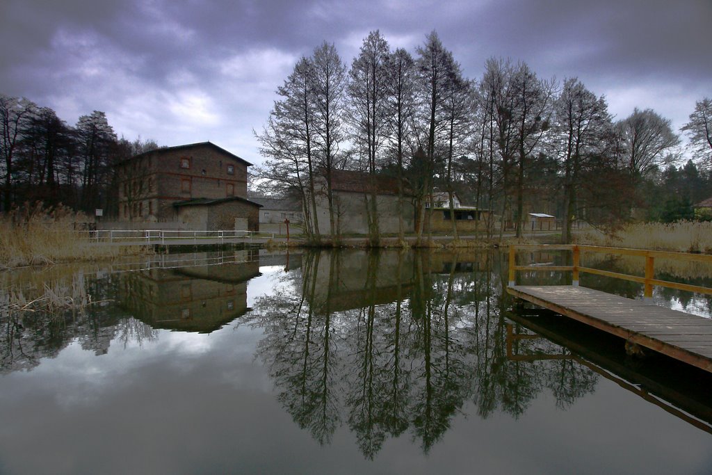 Witnica, Poland by Michal Gorski