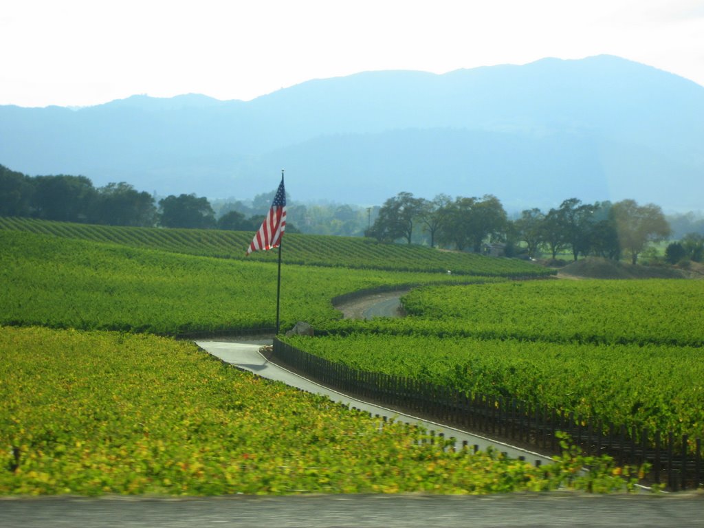 Patriotic grapes by dustyblue